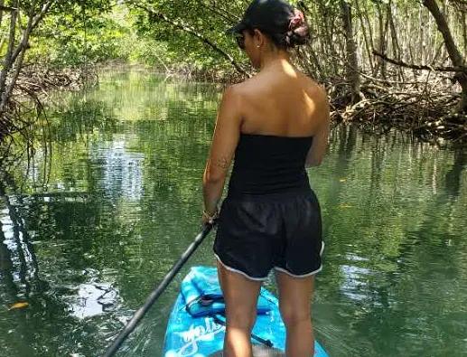 Photo of Stand-up Paddleboards to Explore Oleta River State Park/Biscayne Bay in North MIA